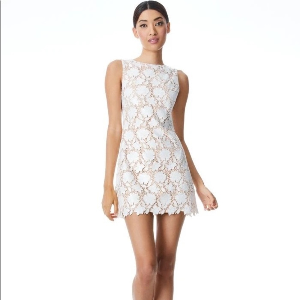 Alice and Olivia Clyde Shift Dress NWT